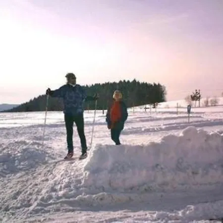 Ferienhaus Schamberger Ab 2 Tage Ohne Fruhstuck Luftgewehrschiessstande Grill - Spiel - Und Lagerfeuerplatz Fur Gaste Holiday home
